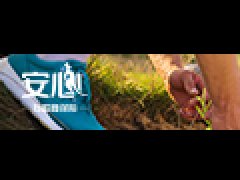 定心小我私家意外危险包管E款